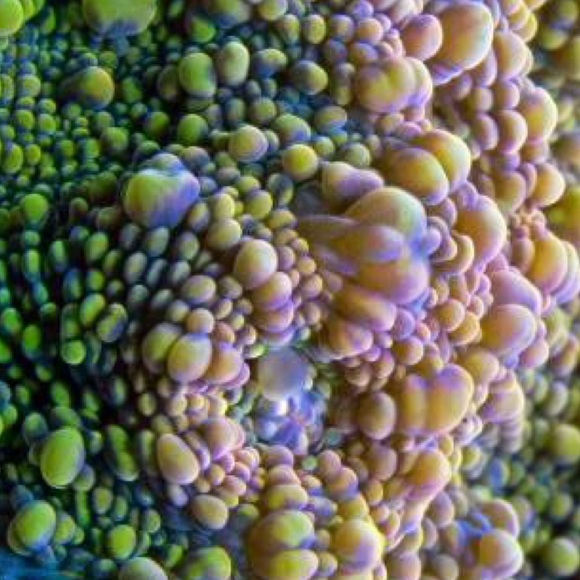 Meet your Posher, it's my Pleasure ! - Picture 7 of 16